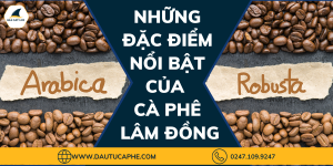 Những đặc điểm nổi bật của cà phê Lâm Đồng