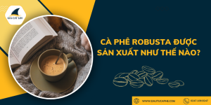 Cà phê Robusta được sản xuất như thế nào?