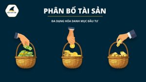 Phân bổ tài sản và đa dạng hóa