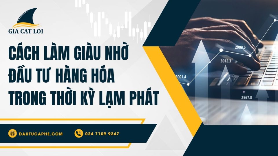 cach-lam-giau-nho-dau-tu-hang-hoa-trong-thoi-ky-lam-phat