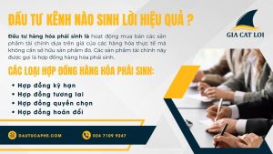 dau-tu-kenh-nao-sinh-loi-hieu-qua