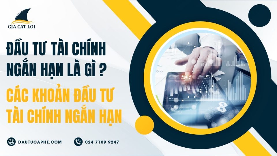 dau-tu-tai-chinh-ngan-han-la-gi-cac-khoan-dau-tu-tai-chinh-ngan-han
