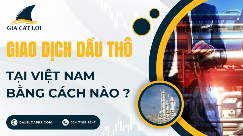 giao-dich-dau-tho-tai-viet-nam-bang-cach-nao